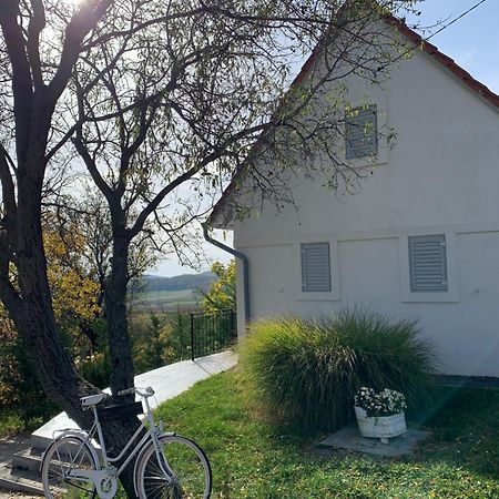 Szoloskert Vendeghaz Balatonszolos Exteriör bild