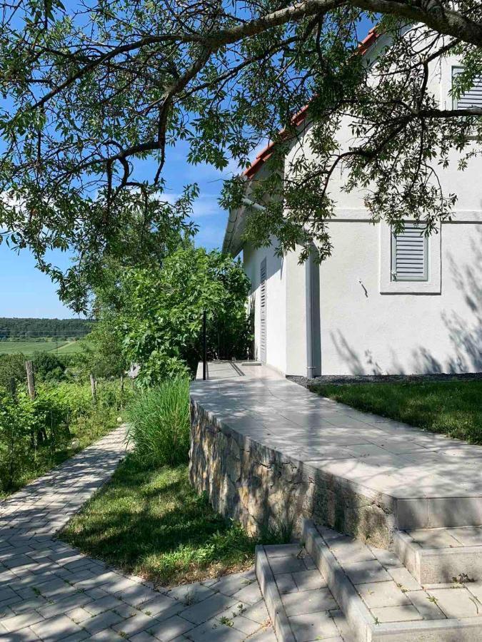 Szoloskert Vendeghaz Balatonszolos Exteriör bild